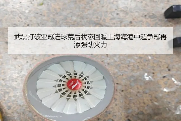 武磊打破亚冠进球荒后状态回暖上海海港中超争冠再添强劲火力